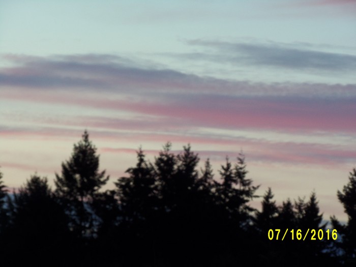 100_1057.JPG