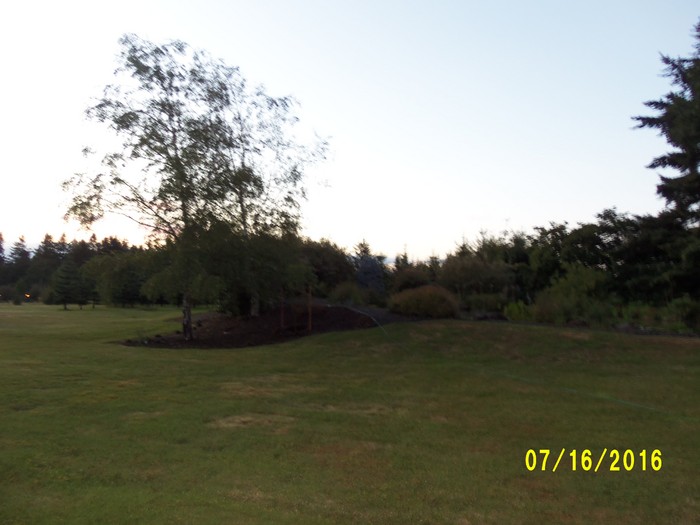 100_1058.JPG