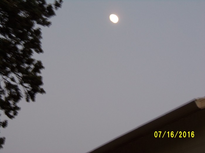 100_1059.JPG