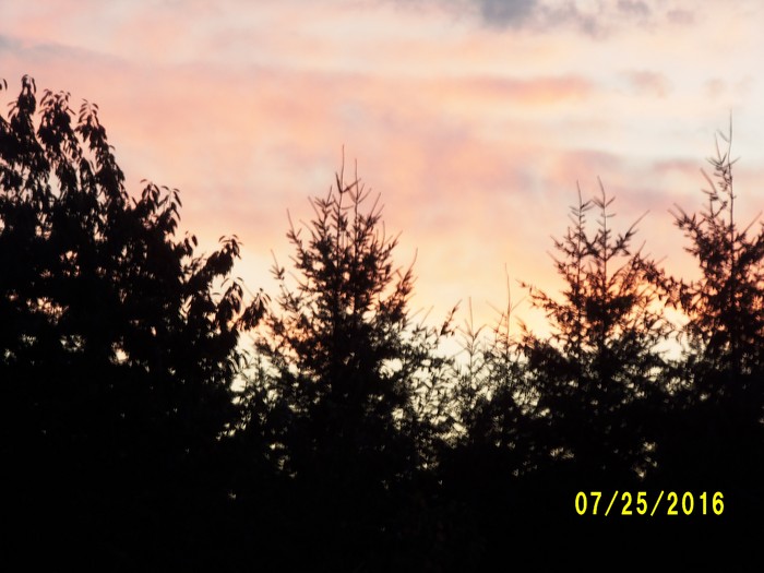 100_1120.JPG