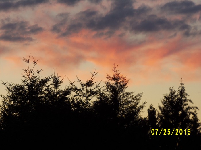 100_1119.JPG