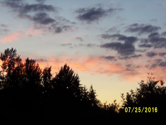 100_1121.JPG