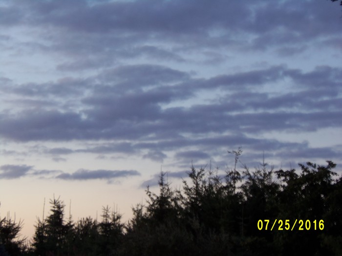 100_1122.JPG