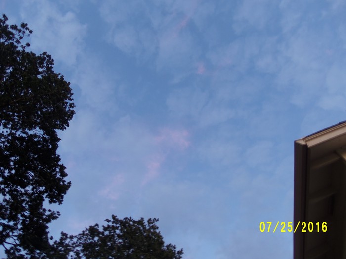 100_1123.JPG