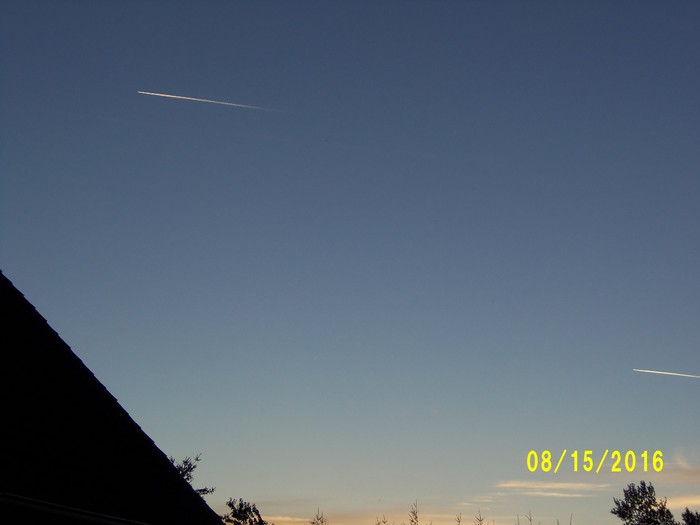 100_1125.JPG