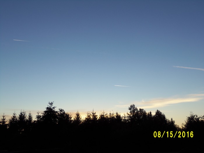 100_1126.JPG