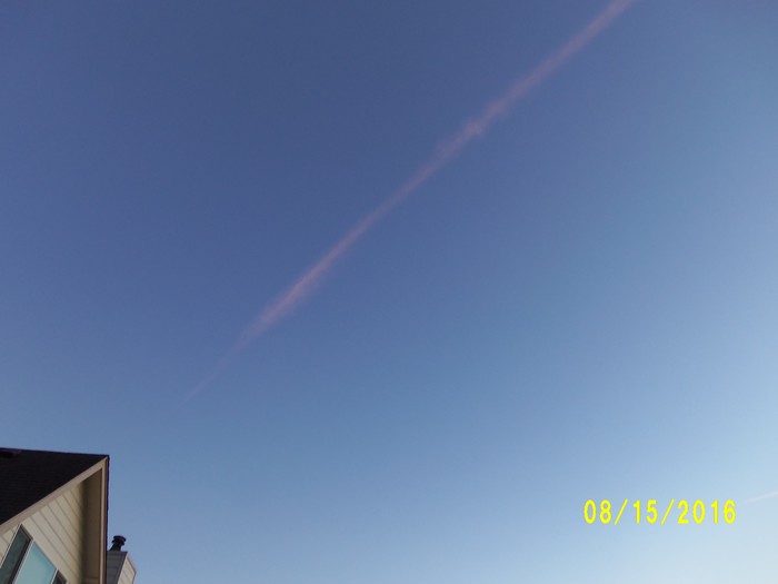 100_1129.JPG