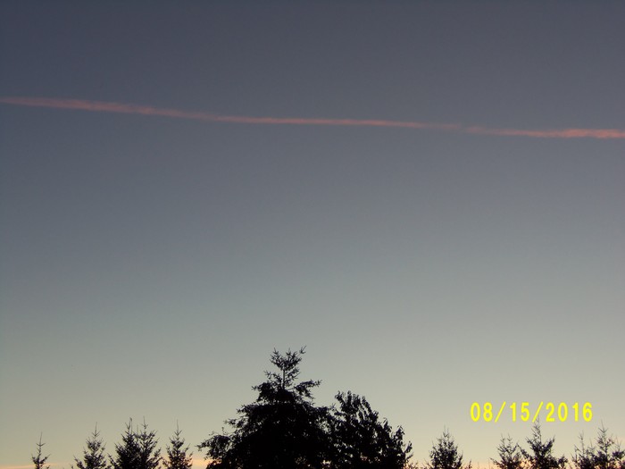 100_1132.JPG