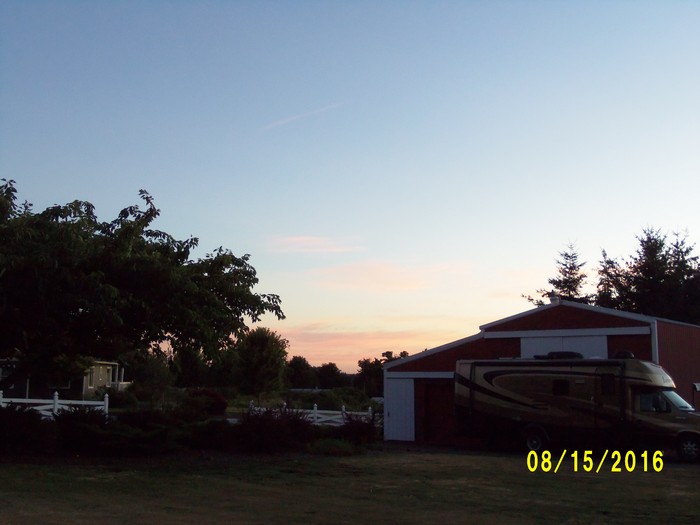 100_1133.JPG