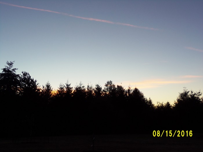 100_1134.JPG