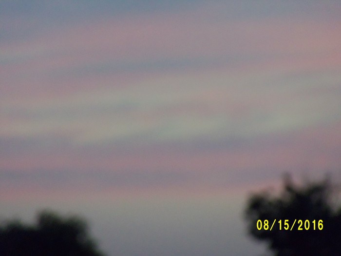 100_1136.JPG