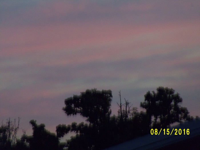 100_1137.JPG