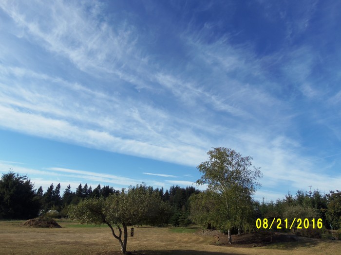 100_1139.JPG