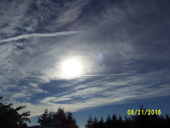 100_1140.JPG