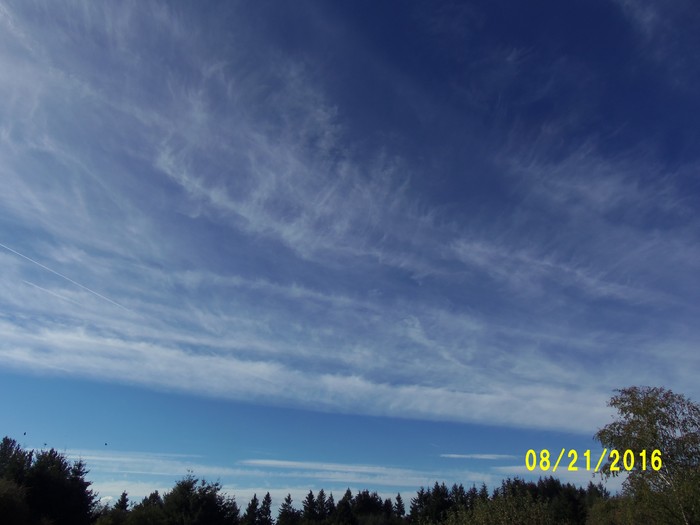 100_1141.JPG