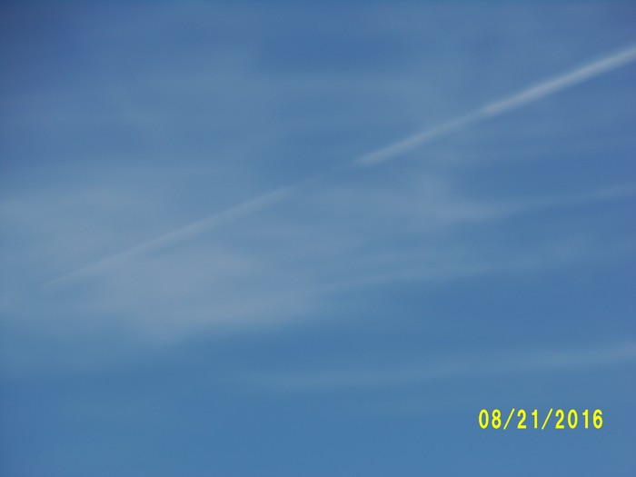 100_1142.JPG