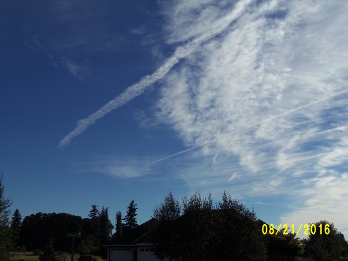 100_1143.JPG