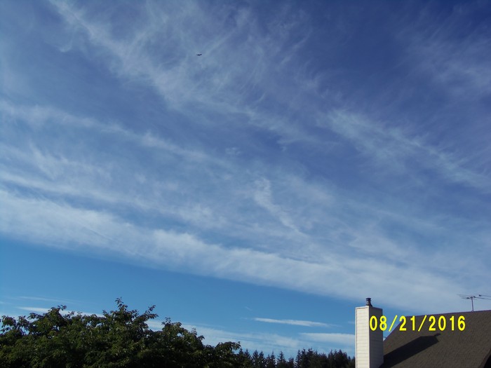 100_1145.JPG