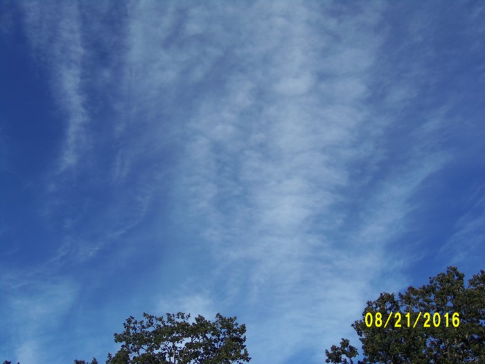 100_1146.JPG
