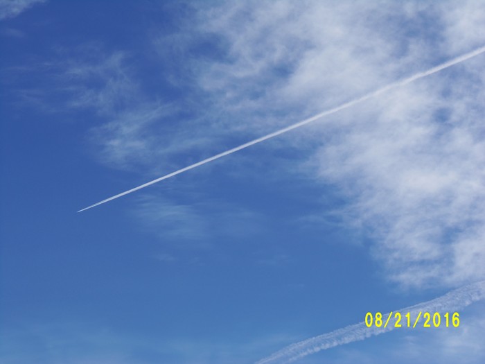 100_1149.JPG