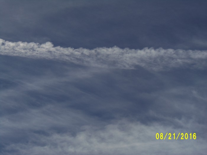 100_1152.JPG