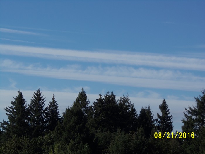 100_1153.JPG