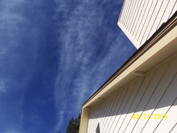 100_1154.JPG