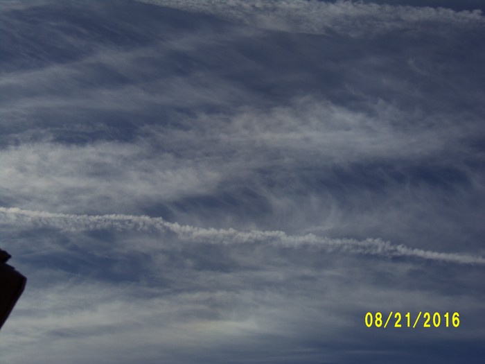 100_1155.JPG