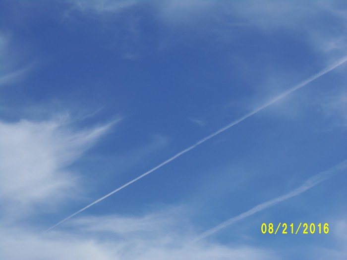 100_1159.JPG