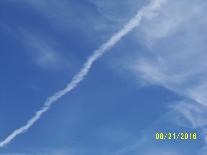 100_1161.JPG