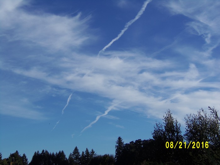 100_1162.JPG