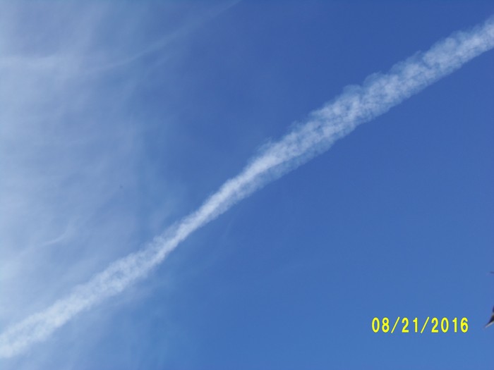 100_1163.JPG