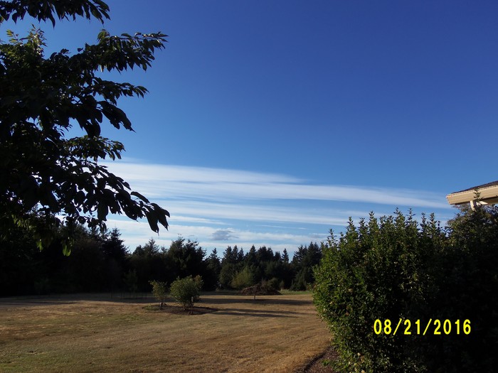 100_1164.JPG