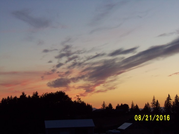 100_1165.JPG