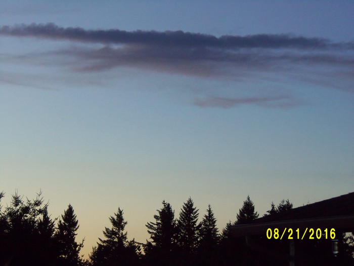 100_1166.JPG