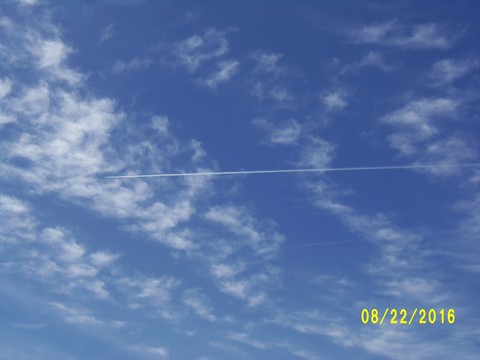 100_1167.JPG