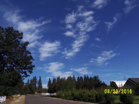 100_1169.JPG