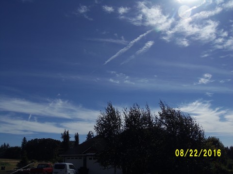 100_1170.JPG