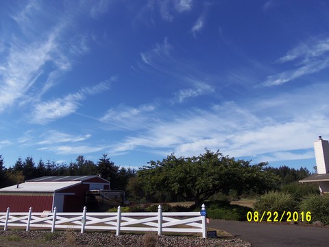 100_1171.JPG