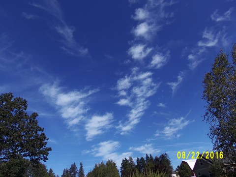 100_1173.JPG