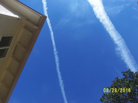 100_1174.JPG