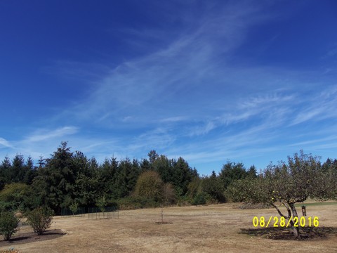 100_1177.JPG