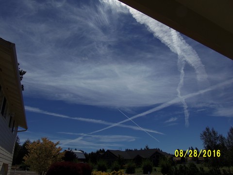 100_1178.JPG