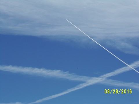 100_1179.JPG