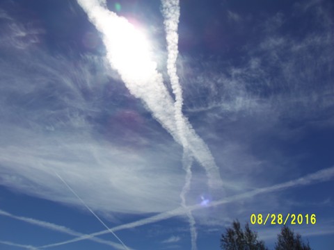 100_1180.JPG