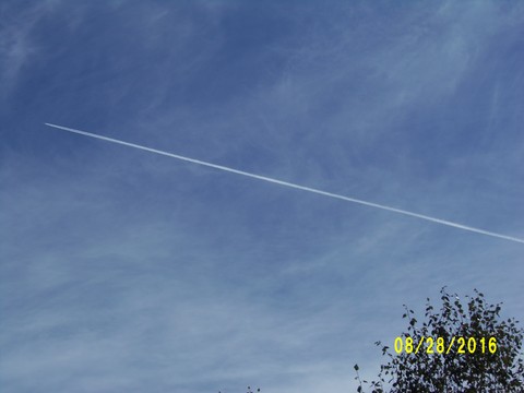 100_1182.JPG
