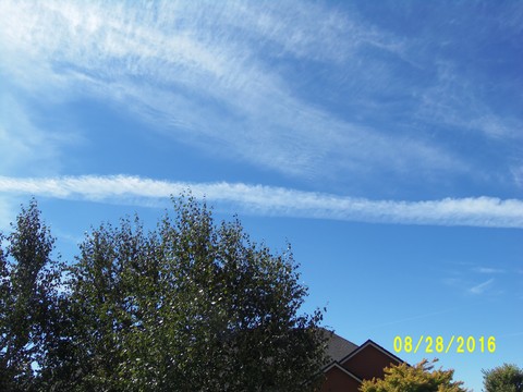 100_1186.JPG