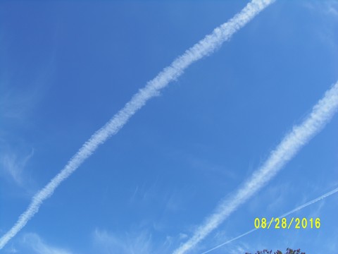 100_1188.JPG
