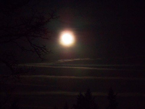 100_1644.JPG