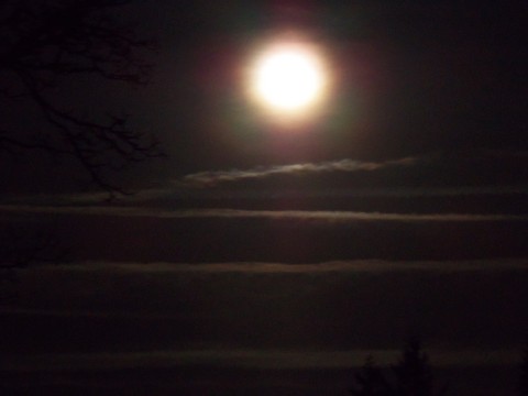 100_1642.JPG